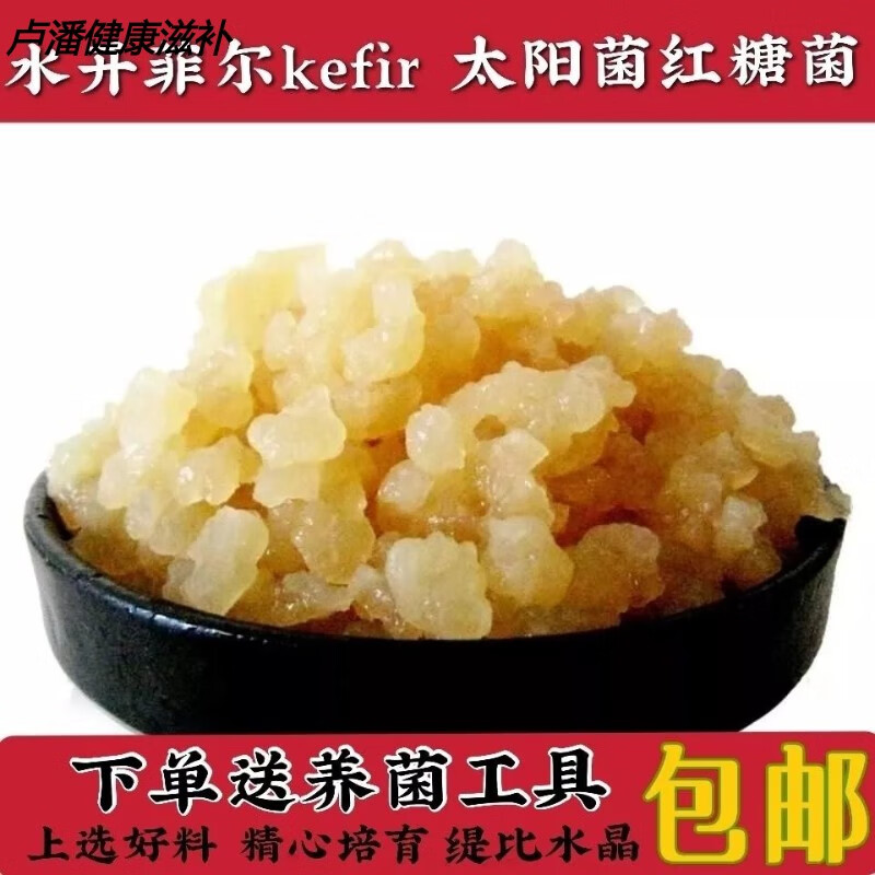 有仁堂太阳菌 红糖菌缇比水晶菌 water kefir tibicos水开菲尔菌雪莲