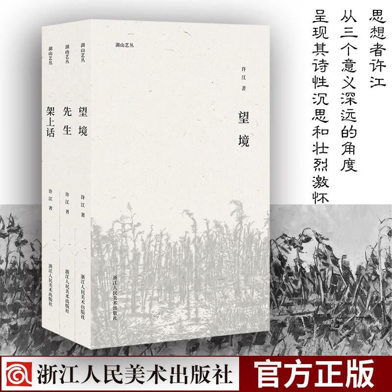 湖山艺丛 望境+先生+架上话 全三册 许江系列 学术观点思想精华艺术教育系列浙江人民美术出版社图书籍