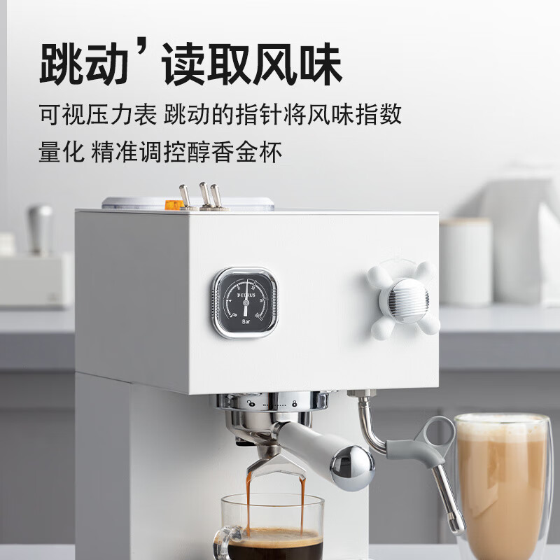 柏翠PE3888咖啡机评测：专业品质与多功能性能的完美结合