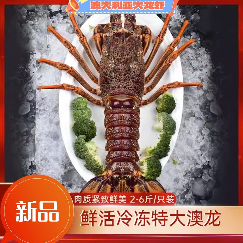 李享食丰特大澳龙鲜活冷冻澳洲大龙虾特大澳龙虾速冻澳龙大龙虾澳龙龙虾 澳洲龙虾4.6-5斤