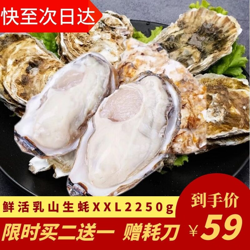 京东京东秒杀 2021-02-09 - 第27张 | 最新购物优惠券 京东京东秒杀 2021-02-09 - 第27张 | 最新购物优惠券
