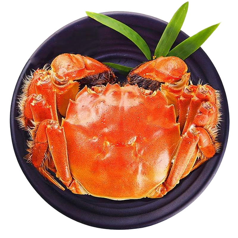 зε բзʻ  ֻشззĸзƷװ ֻ5.5ĸ4.55 10ֻװ