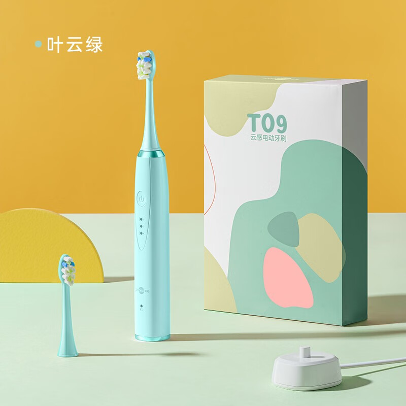 博皓（prooral）电动牙刷成人洗牙器便携 全自动声波牙刷 软毛柔和牙刷头 学生情侣礼物 绿色|T09