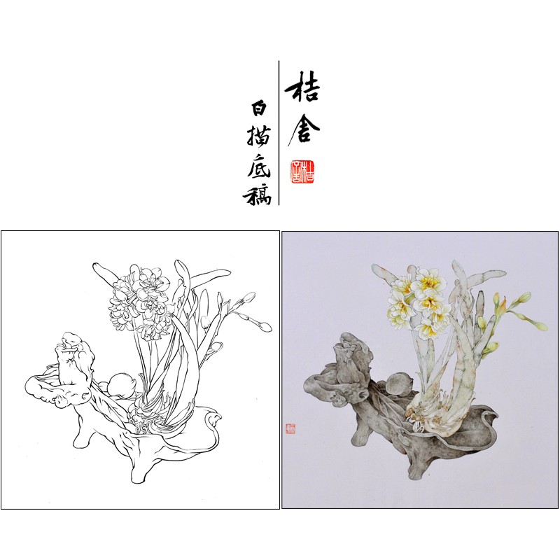 桔舍王震工笔画白描底稿水仙花小品原作大小30*30厘米花鸟线稿带a3