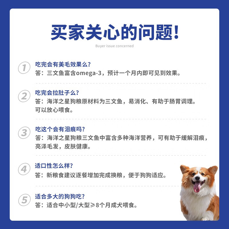 海洋之星三小1.5狗粮真实使用感受,真相揭秘入手感受