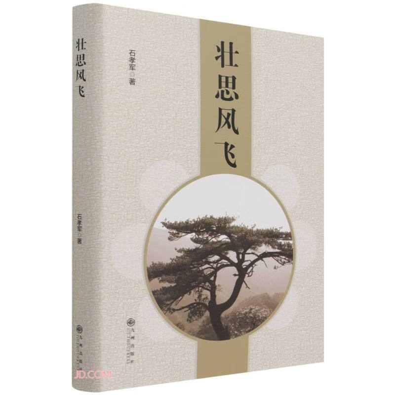 壮思风飞(精)
