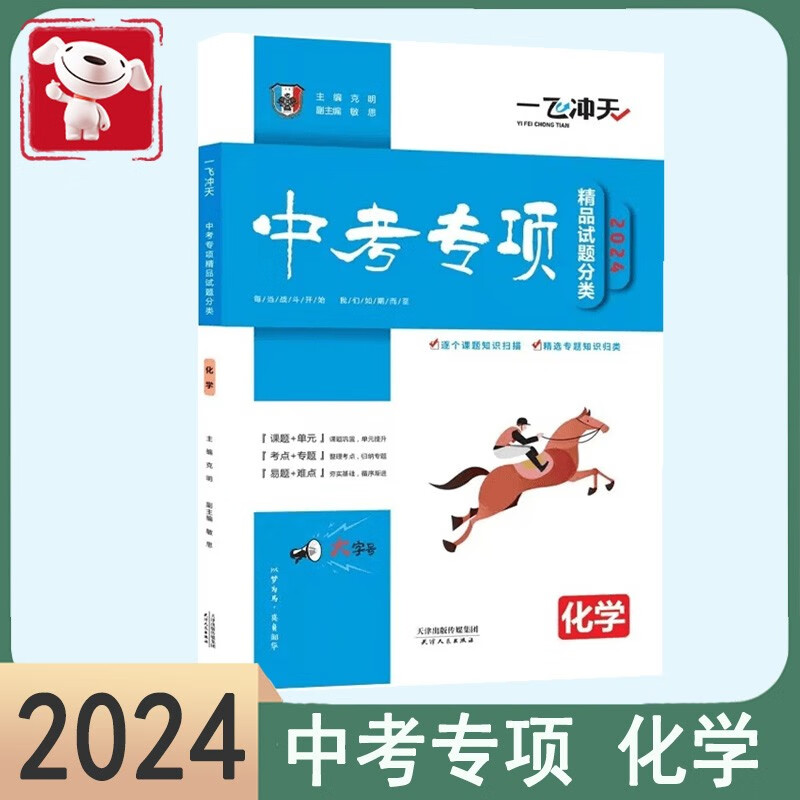 2024新版一飞冲天 中考专项 精品试题分类 语文数学英语物理化学 自选 九年级初三天津中考 中考专项 含答案解析 化学 中考专项分类