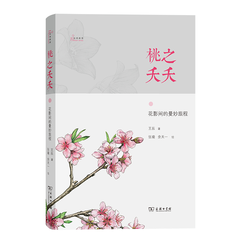 桃之夭夭(花影间的曼妙旅程)/自然感悟 王辰