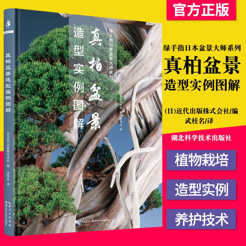 真柏盆景造型实例图解 日本盆景大师系列 观赏园艺图解盆景爱好者观赏园艺彩图版盆景制作大全盆景造型赏