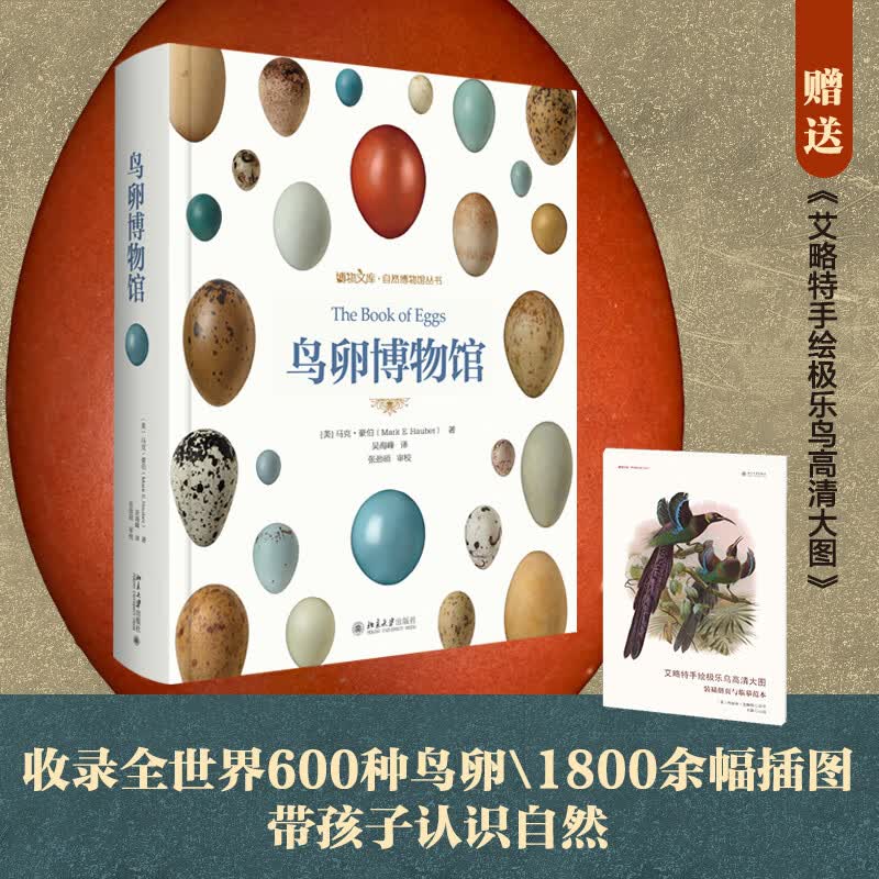 鸟卵博物馆 赠送《艾略特手绘极乐鸟高清大图》赠完即止 鸟卵博物大百科 博物文库