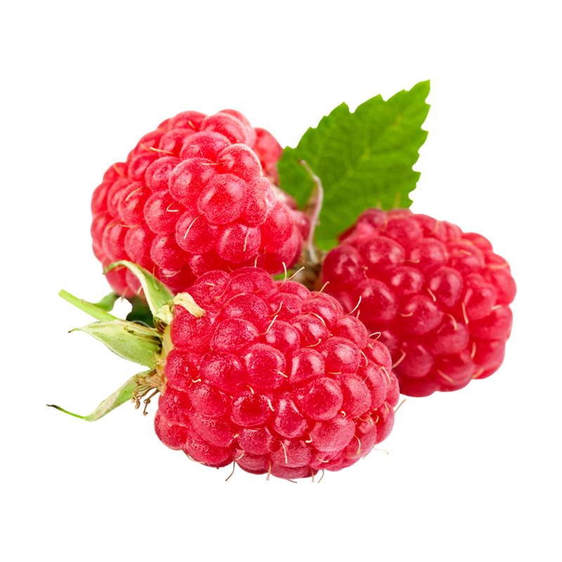 爵妃 【顺丰】树莓新鲜覆盆子怡颗莓新鲜水果树莓黑莓黑树莓红树莓 红