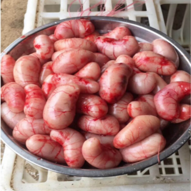 湘明有絮 鸡腰子公鸡睾丸鸡子可入阉鸡取卵新鲜 500克