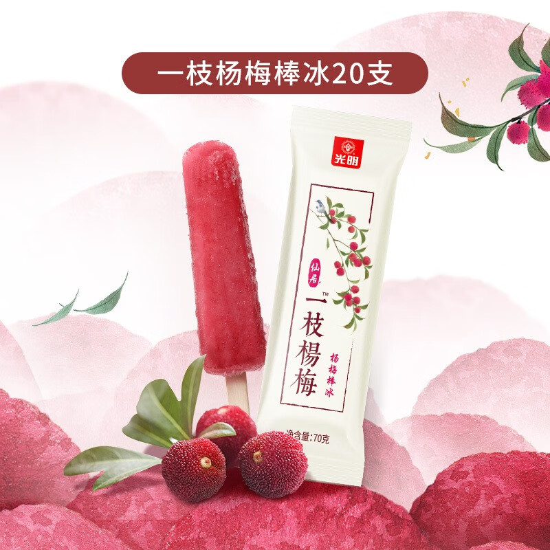 光明 仙居一枝杨梅棒冰 真实果肉清凉爽口冷饮冰淇淋冰激凌雪糕 20支