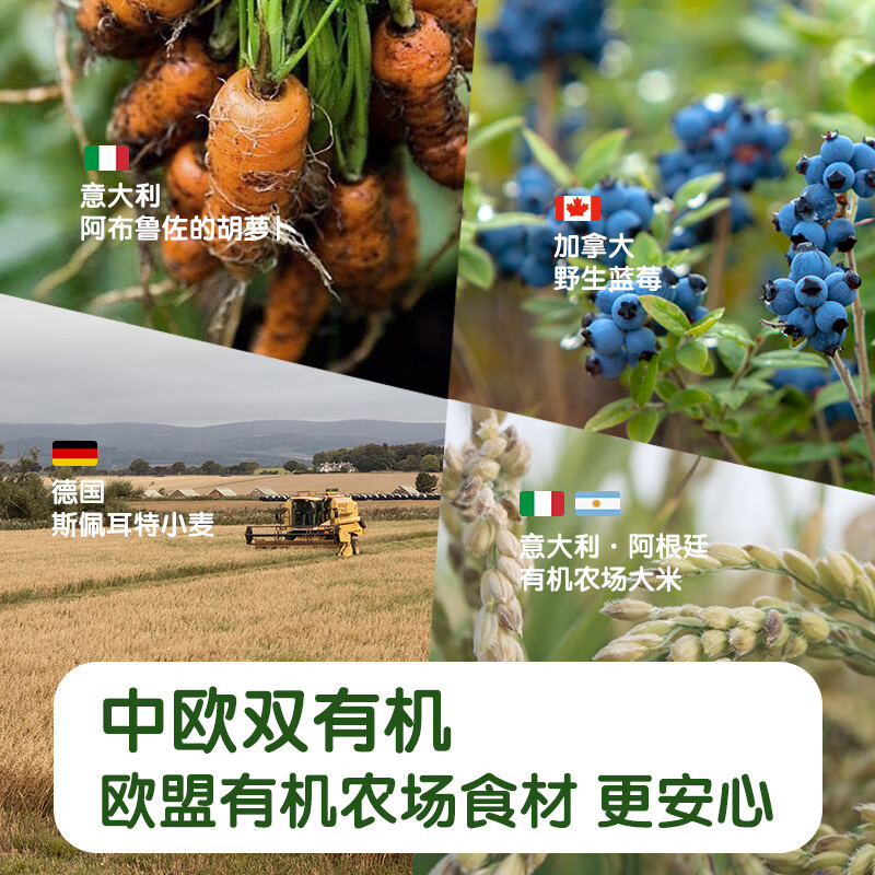 小皮高铁原味有机大米粉婴儿辅食宝宝营养钙铁锌米糊 有机藜卖多种谷物粉9月18日到期 160g*1盒