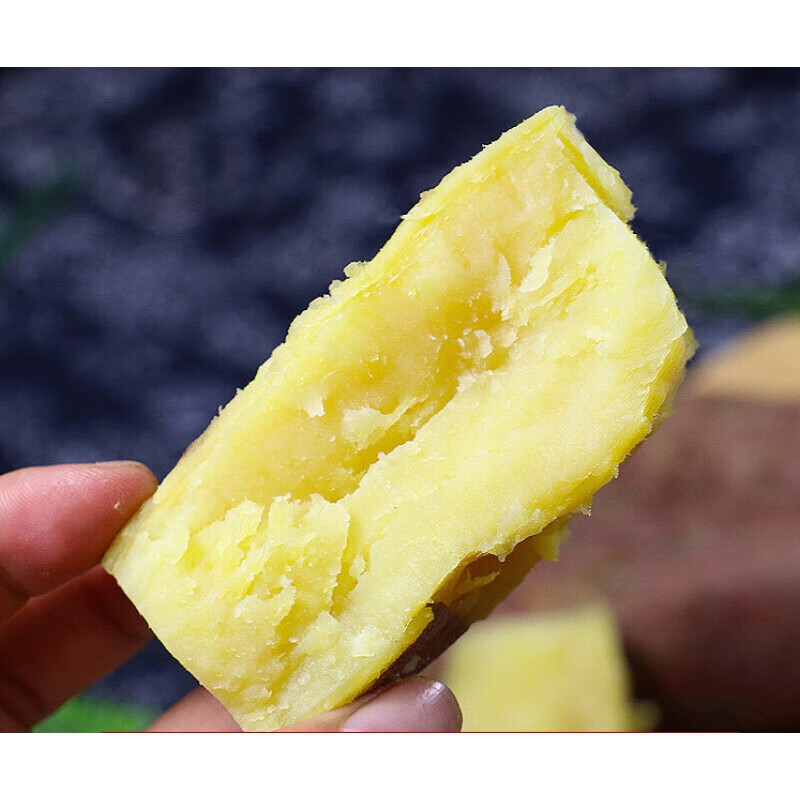 虎钢馋陕西板栗薯红薯新鲜整箱白薯临潼山芋沙地白心农家番薯小地瓜 9