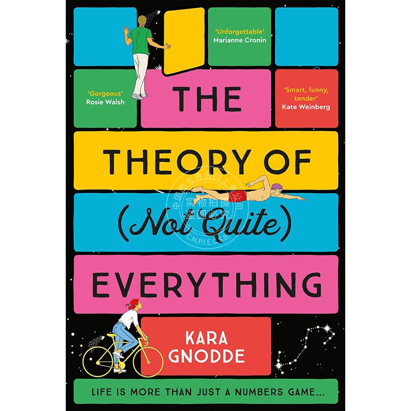 现货 不完全的万物理论 Kara Gnodde 英文原版 The Theory of (Not Quite) Everything