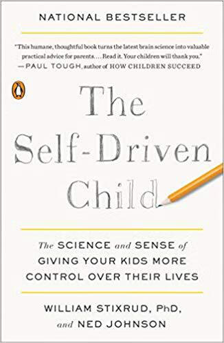 现货 如何让孩子更有自我驱动力The Self-Driven Child