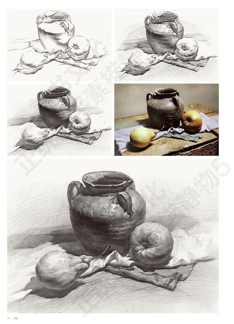 正统陈平素描静物5 2020美书文化单个组合静物临摹水果蔬菜步骤解析