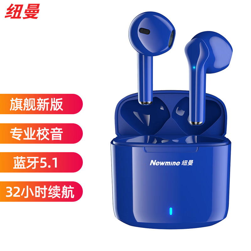 纽曼(Newmine)TWS-X5 真无线蓝牙耳机 半入式音乐耳机 苹果安卓华为小米手机通用 运动跑步 蓝牙5.1 蓝色