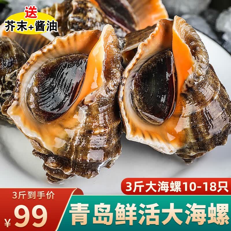 海宏盈【活鲜】 青岛大海螺鲜活 1500g 10-18只 海鲜贝类生鲜 大号海螺3斤13-18只使用感如何?