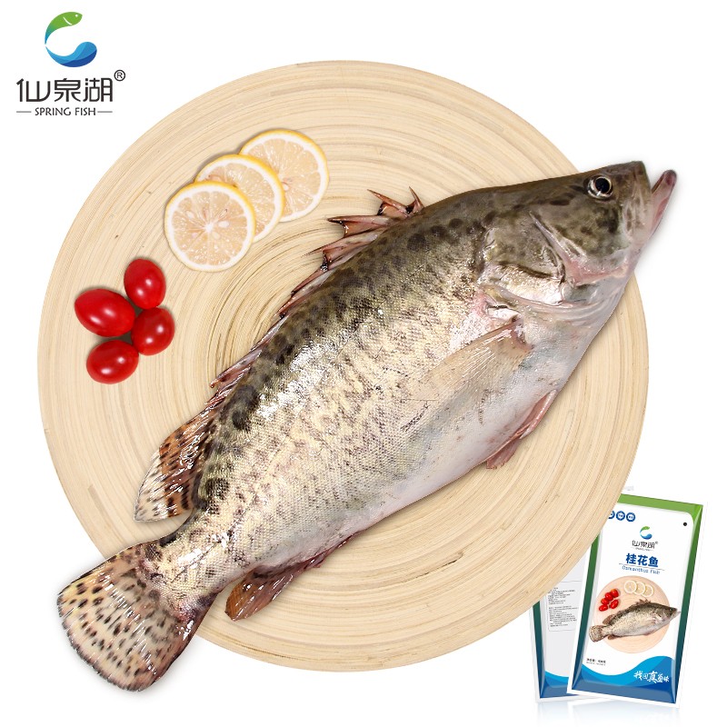 仙泉湖三去桂花鱼400g/条净膛冷冻鳜鱼无细刺海鲜水产生鲜食材