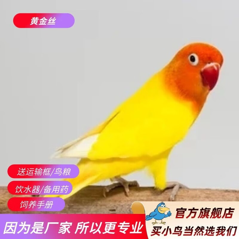 京东异宠活体价格曲线软件|异宠活体价格走势图