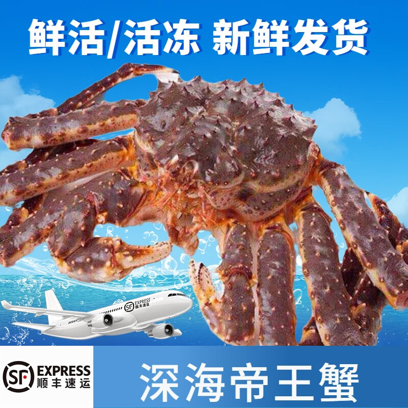 【活鲜空运】鲜活帝X蟹 俄罗斯进口大螃蟹海鲜阿拉斯加帝X蟹 鲜活蟹4-4.5斤整只