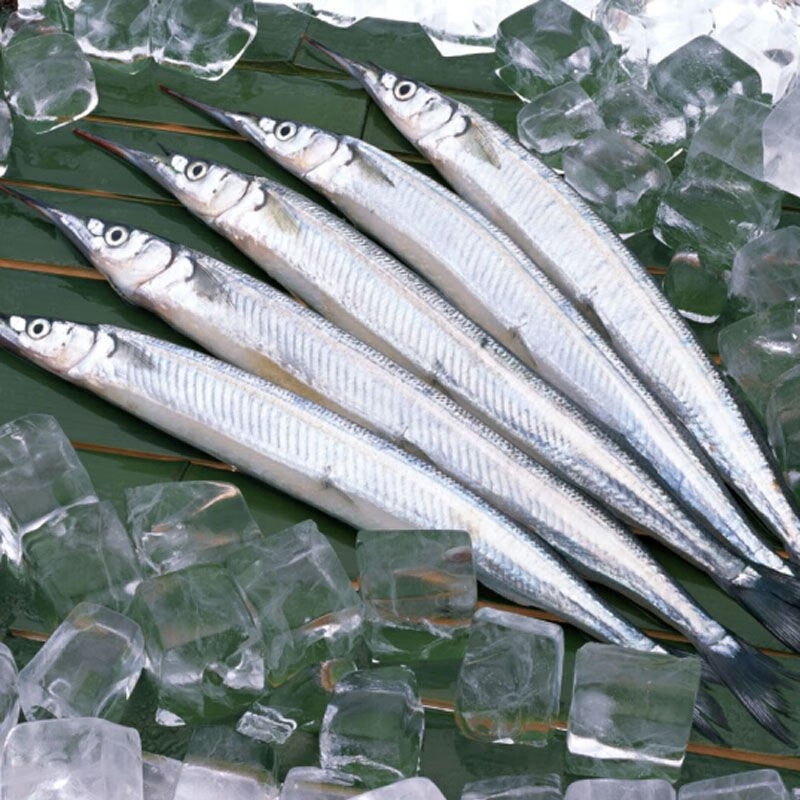 京鮮送新鮮深海秋刀魚鮮活冷凍秋刀魚海鮮整箱食材海魚水產批發(fā) 【精選 一斤裝