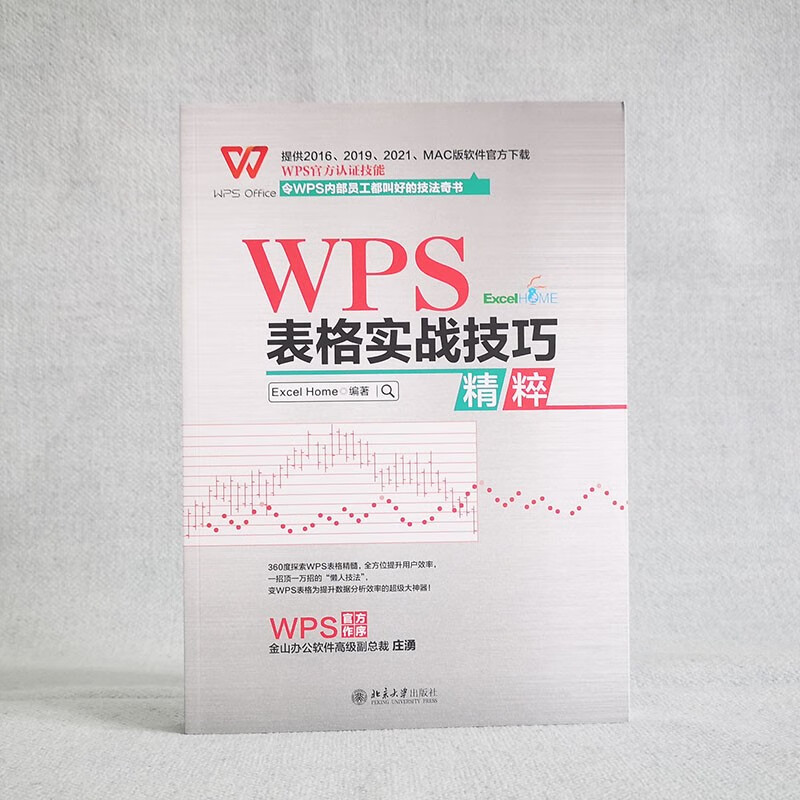 WPS表格实战技巧精粹 WPS官方认证 ExcelHome出品 全彩高效办公书