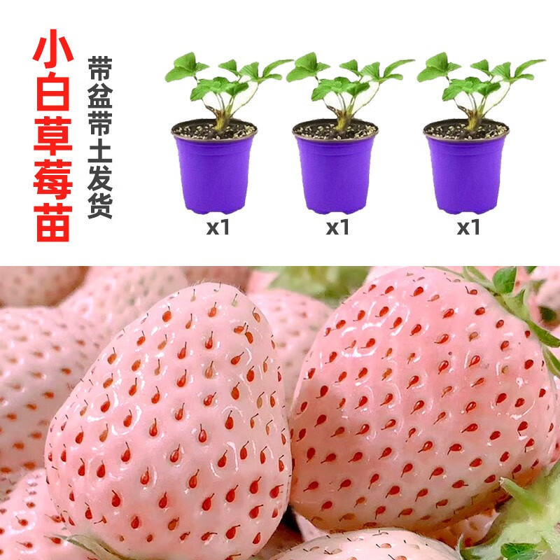 可以看京东蔬菜类历史价格|蔬菜类价格走势