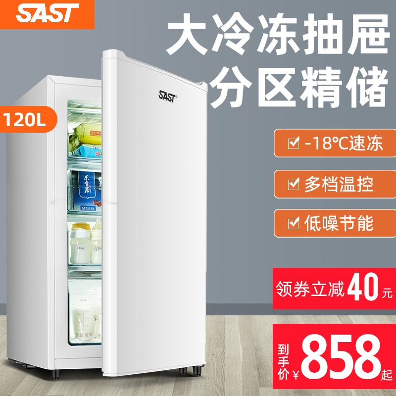 SAST储奶小冰箱冰柜家用小冰柜立式侧开门全冷冻冷柜家用母乳柜小冰箱冷冻柜 BD-120