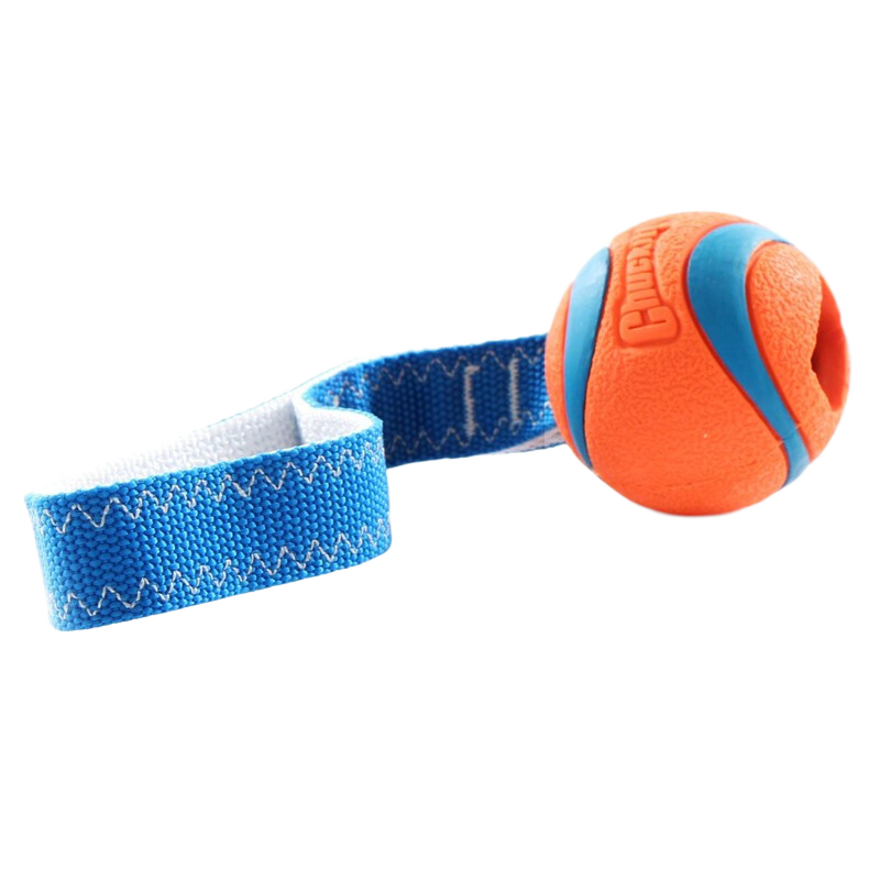 petmate򻥶κѲҧ߽  ţֱԼ7.6cm 63Ԫ