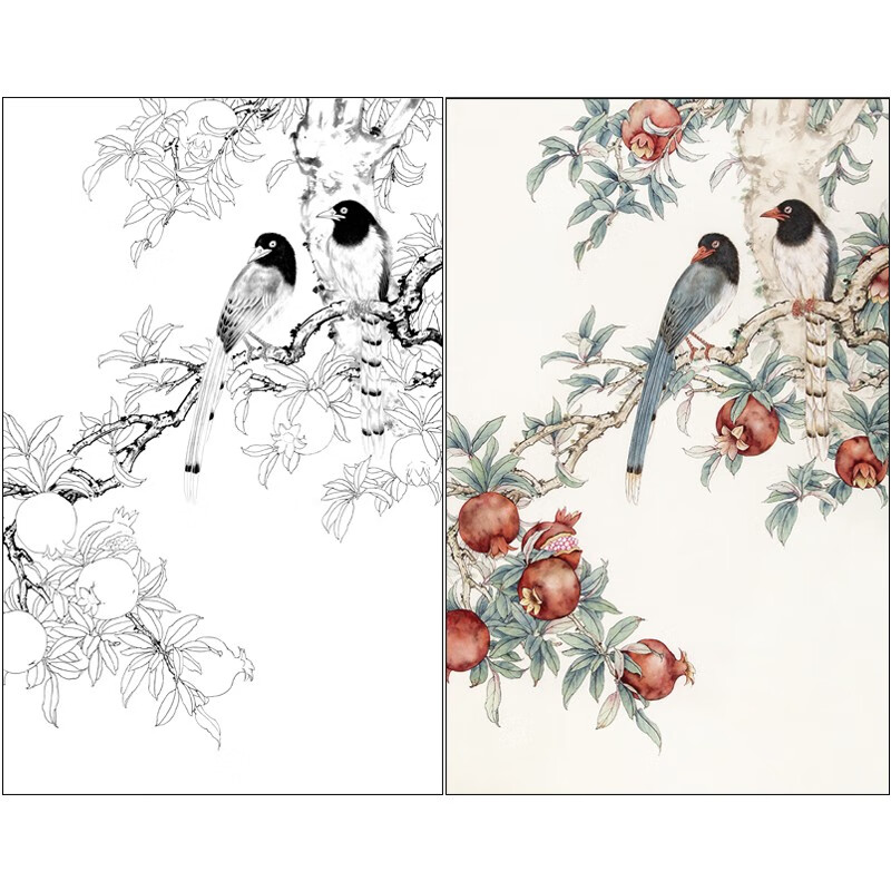 桔舍陈军工笔画白描底稿石榴蓝鹊原作大小50×79厘米花鸟线稿带a3步骤