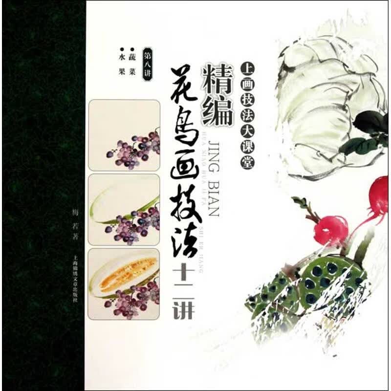 精编花鸟画技法十二讲(第八讲) 梅若 作 书籍
