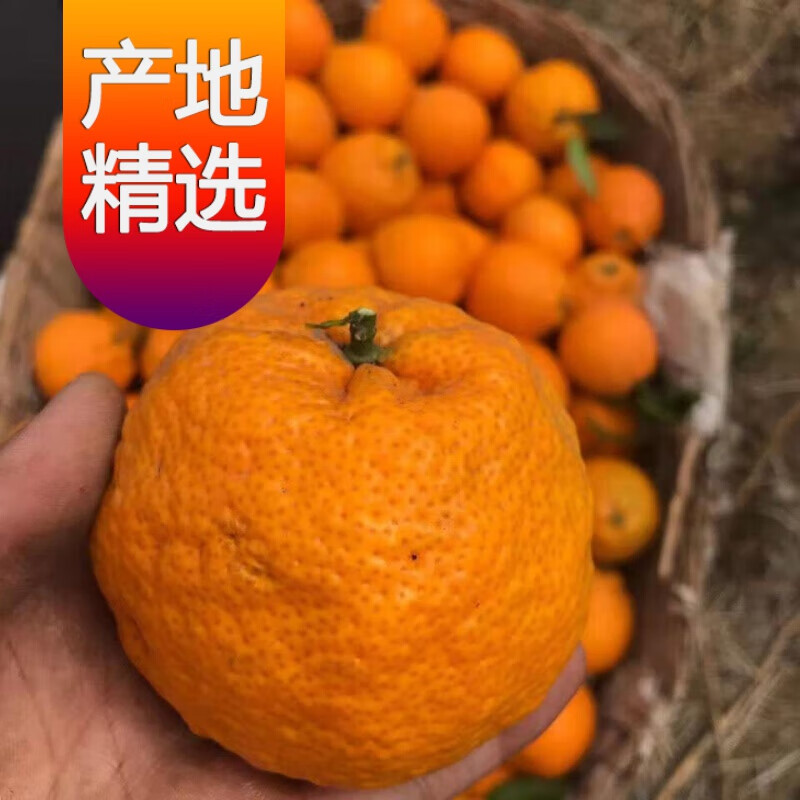 【精选果蔬】【果园直发】桔子水果橘子黄果柑橘3斤6斤带箱单果55mm 3斤装桔子