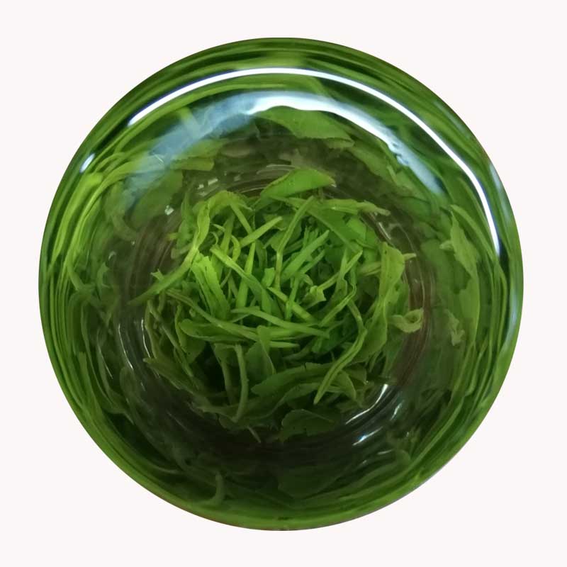 碧叶戏潭2023年新茶上犹绿茶五指峰毛尖江西农家高山云雾茶浓香茶叶