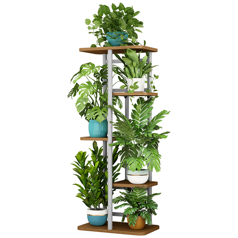 蜗家 板式花架简约花架子北欧室内阳台装饰架铁艺客厅置物花架多层绿萝架多肉花架