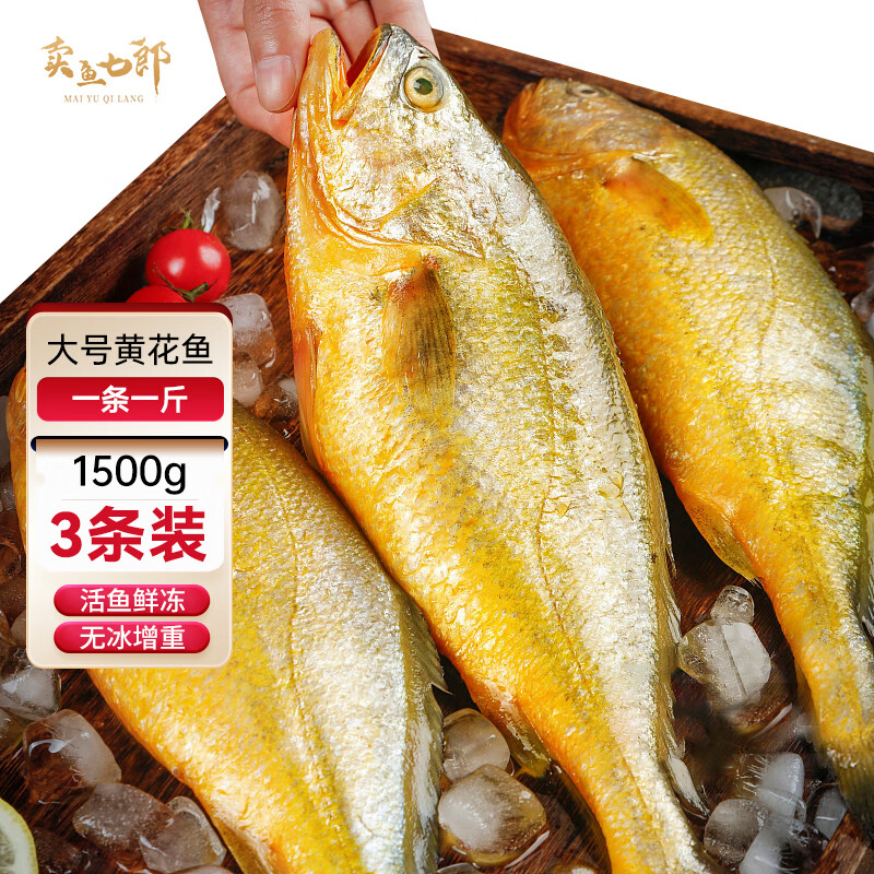 卖鱼七郎黄花鱼 1.5kg/3条装 国产福建大黄鱼 生鲜 鱼类 海鲜水产
