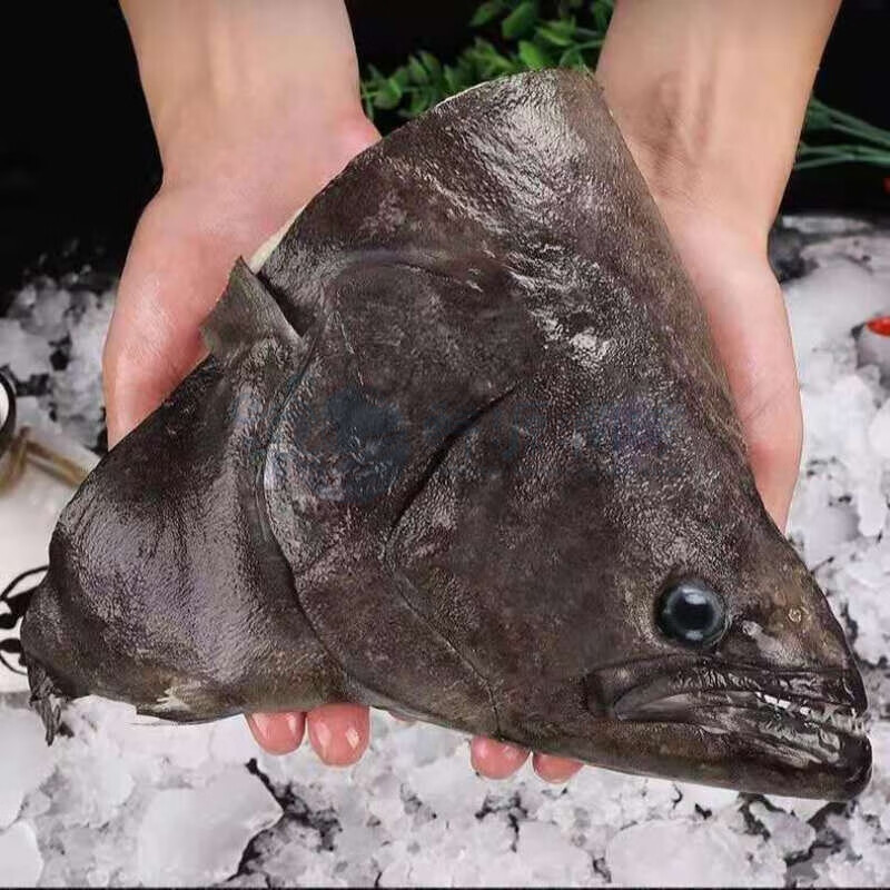 鲜源澜湾 超大鲽鱼头2-6斤/只 比目鱼头超大鱼头鲽鱼碟鱼头鲽鱼头海鲜