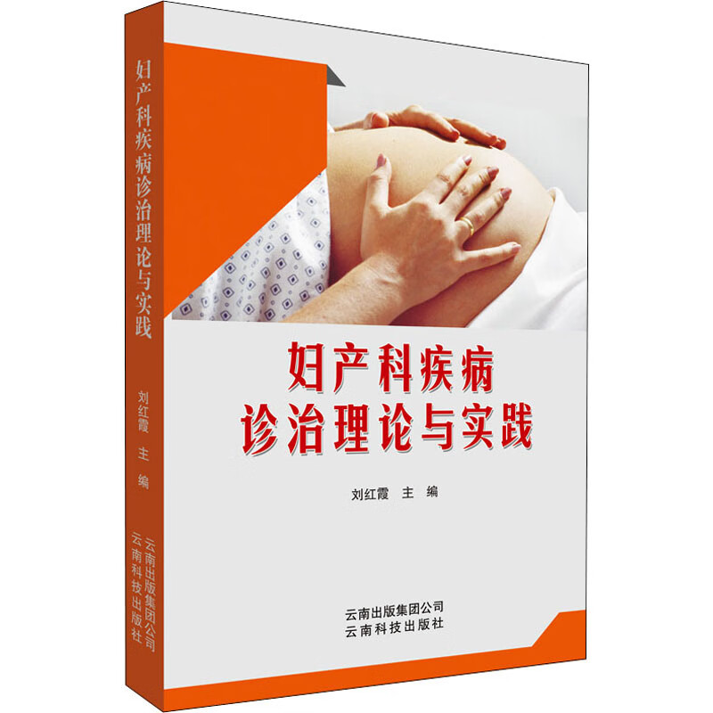 妇产科疾病诊治理论与实践 刘红霞 编 书籍