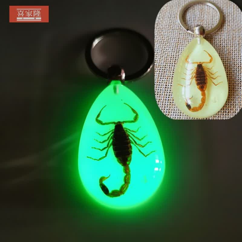 喜家隆昆虫标本夜光昆虫标本琥珀石头夜光蝎子蜘蛛儿童礼物 黄蝎子