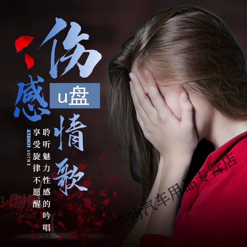 车载影音2022抖音伤感音乐车载u盘情歌无损高音质网络流行音乐歌