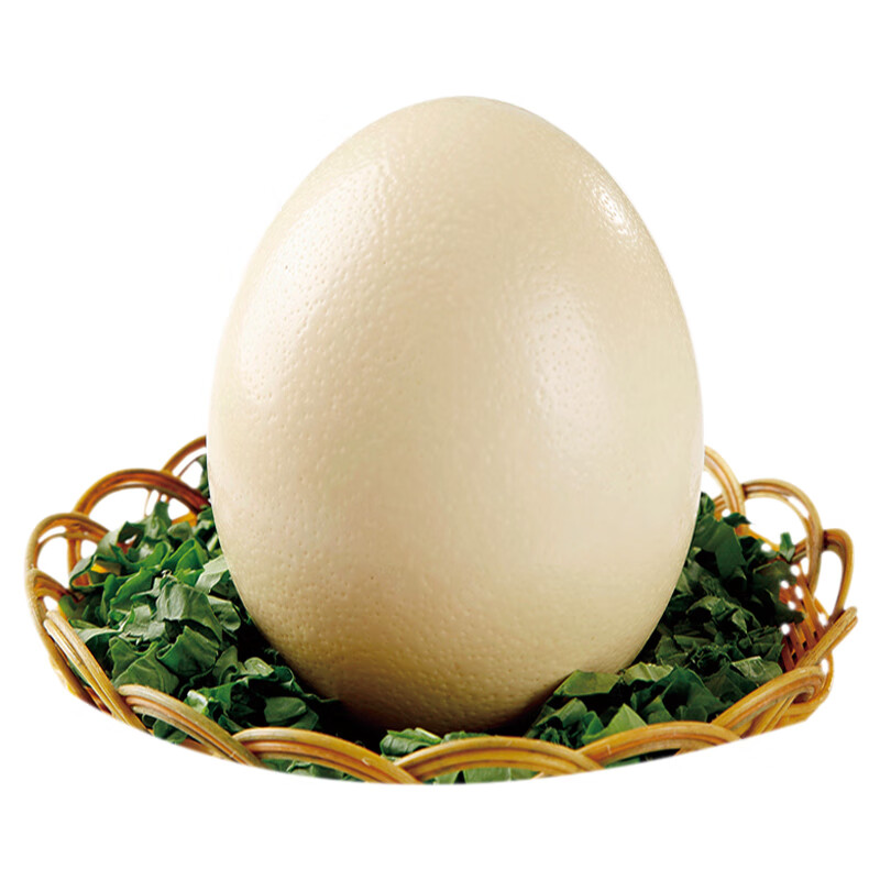 桃李旺taoliwang新鲜现捡鸵鸟蛋不可孵化鸵鸟蛋食用超大蛋可鲜蛋送礼雕刻大蛋【1.5kg左右】整个鸵鸟蛋