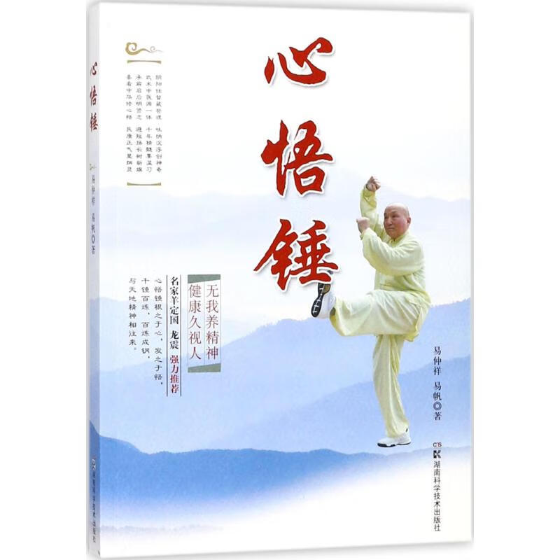心悟锤 易仲祥,易帆 书籍