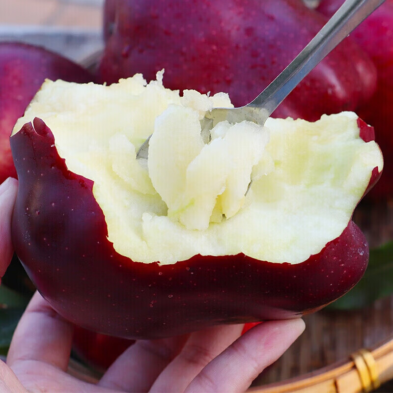 皓谦【京鲜配送】 甘肃天水花牛粉面苹果新鲜水果当季红蛇大果粉面刮