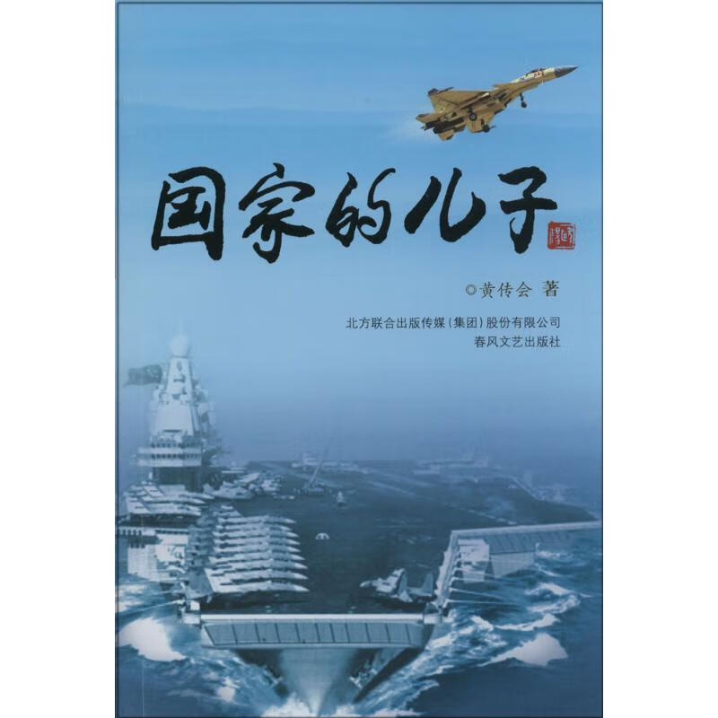 国家的儿子【正版好书,下单速发】