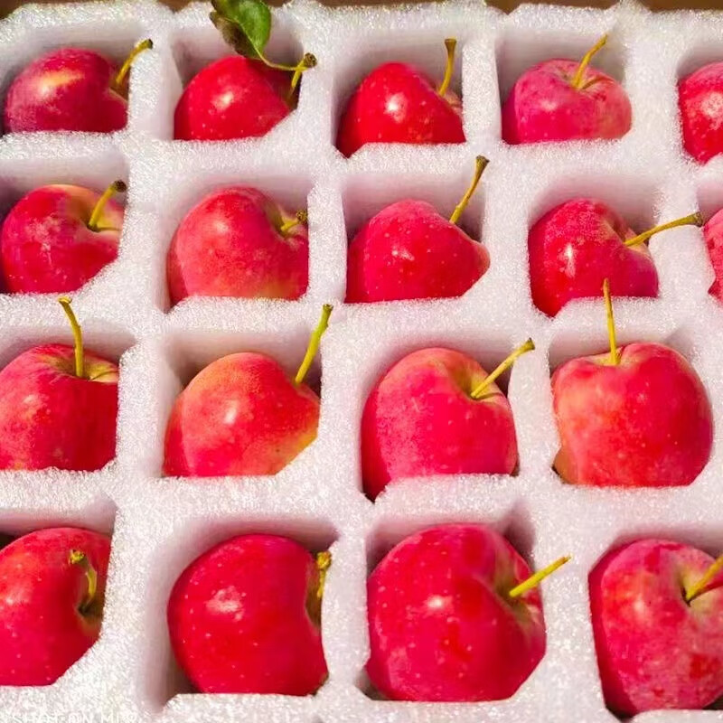 正宗东北鸡心海棠果小苹果应季新鲜孕妇水果海棠产地直发 鸡心果-3斤中果/33-39个