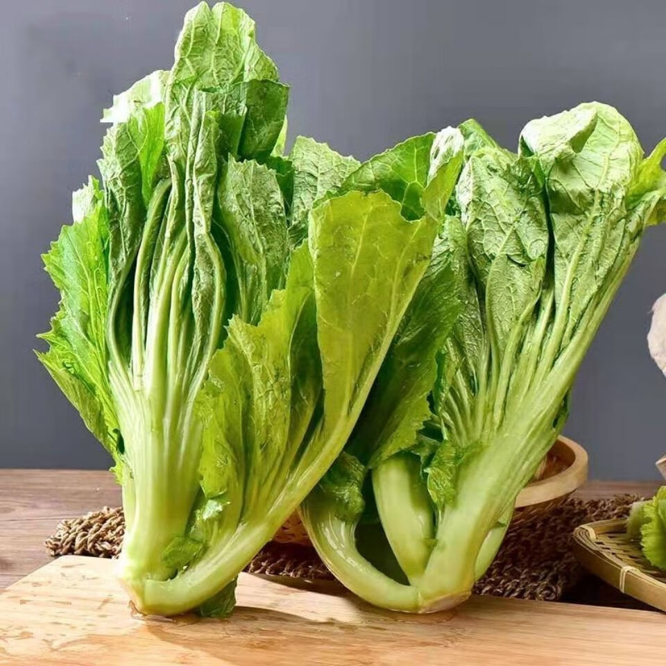 新鲜包心芥菜贵州大叶青菜苦青菜盖菜现摘整颗蔬菜腌菜泡菜酸菜 3斤