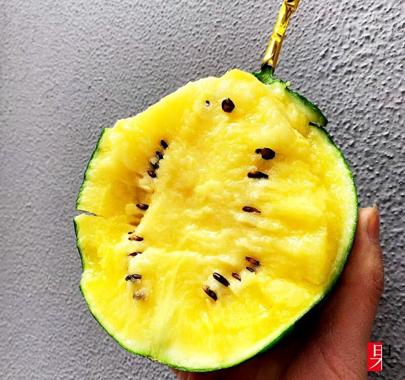 阔疆农业冰淇淋西瓜特小凤黄心黄壤沙肉新鲜水果薄皮脆甜孕妇水果 6