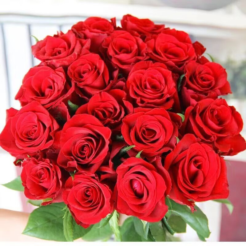 怎么查看京东生活鲜花以前的价格|生活鲜花价格走势